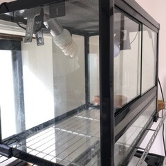 中古品ガラス爬虫類ケージ60✖️45✖️45ライト付きの画像