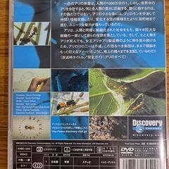 DiscoveryCHANNEL　アリ　DVD videoの画像