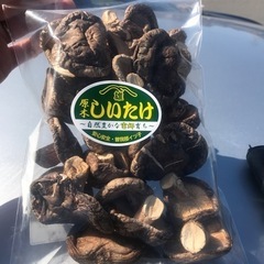 生椎茸、干し椎茸