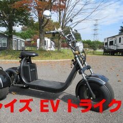 栃木県那須町！ブレイズ　EVトライク　新車購入１オーナー　室内保...