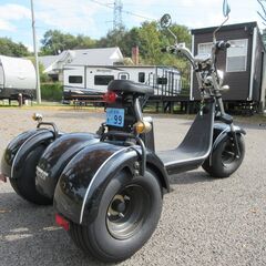 栃木県那須町！ブレイズ　EVトライク　新車購入１オーナー　室内保管品　距離短いの画像