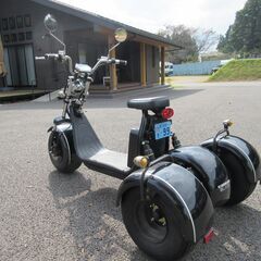 栃木県那須町！ブレイズ　EVトライク　新車購入１オーナー　室内保管品　距離短いの画像
