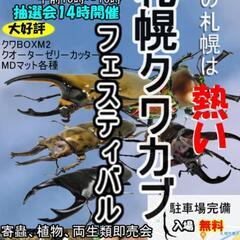 カブクワフェスティバル　2023年12月ラスト