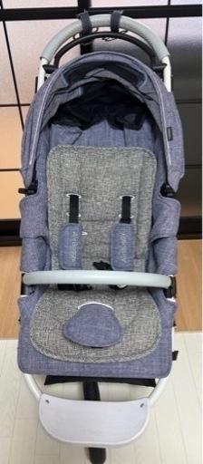 エアバギーココブレーキEX