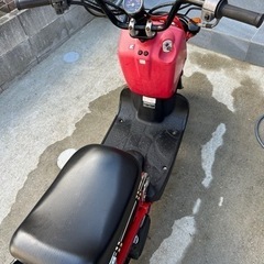 ホンダ　ズーマー　船橋市近辺の画像