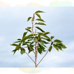 【各地に行ける♪】最新の墓苑での受付・案内スタッフ