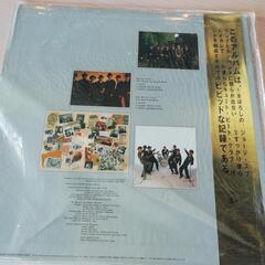 💴⤵️チェッカーズ　LP4400円→3300円　キュートビート　クラブバンドの画像