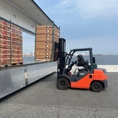 カウンターフォークリフト作業 急募！の画像