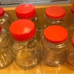 梅酒瓶 梅干し 8つ
