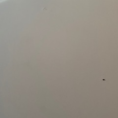 テーブル　の画像