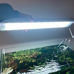 アクアスカイRGP60 お譲りします！の画像