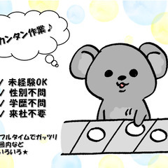 〖1月までの短期〗週3日～ＯＫ！誰でもカンタン♬商品の箱詰め作業☆彡
