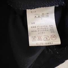 チュニック　Lサイズ　中古品の画像