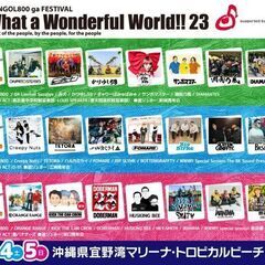 モンゴル800 フェス　2日間通しチケット