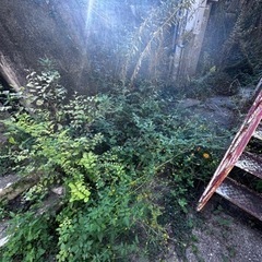 草刈り　見積もりよろしくお願い申し上げます。の画像
