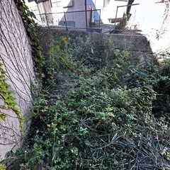 草刈り　見積もりよろしくお願い申し上げます。の画像