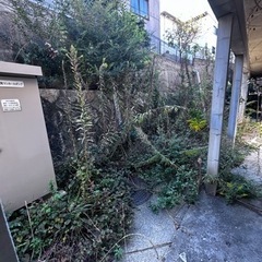 草刈り　見積もりよろしくお願い申し上げます。の画像