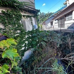 草刈り　見積もりよろしくお願い申し上げます。の画像