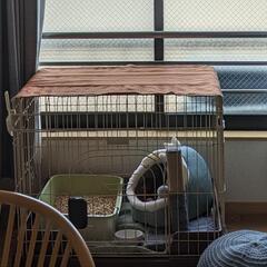 ペットケージ