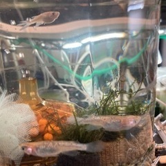 笠寺フリマクリマ　11月18日　雨天中止 − 愛知県