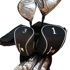 ゴルフクラブ 10本セット キャディバッグ付き GOLDEN BEAR (ゴールデン