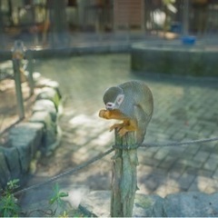 初心者です - 友達