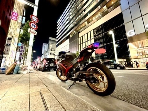 ninja250(EX250L) レーサー仕様　不具合なし　全国陸送対応可