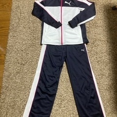 レディースPUMAジャージ上下　Mサイズ