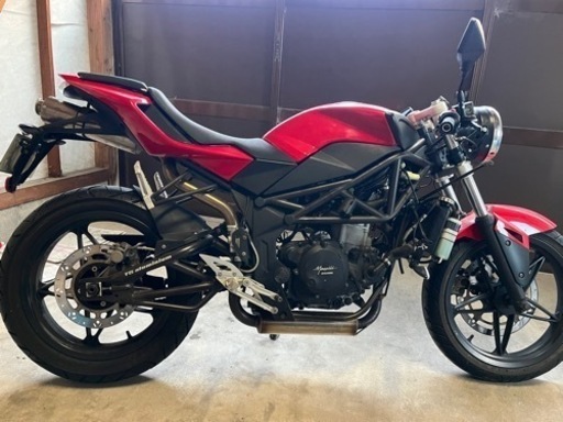 メガリ250r （不動車）