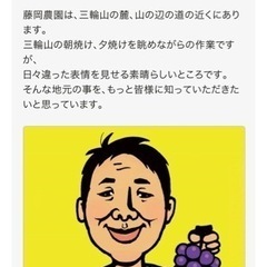 【森の菊芋農園】（藤岡農園） 50g  500円リピーター様獲得の為、特別価格の画像