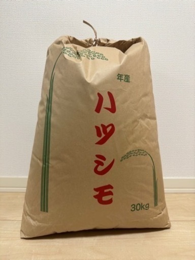 ★受付停止中★令和5年度産　新米　ハツシモ　玄米　30キロ
