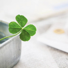 「カウンセラー・サポート起業」に興味がある方へ🌱 無料コミュニテ...