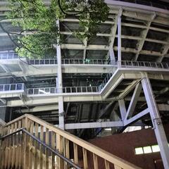 横浜DeNAベイスターズファンクラブ