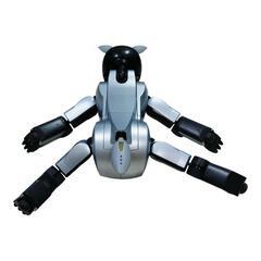 【箱付・通電確認】SONY AIBO ERS-210 アイボ　ロボットの画像