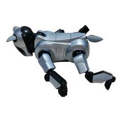【箱付・通電確認】SONY AIBO ERS-210 アイボ　ロボットの画像