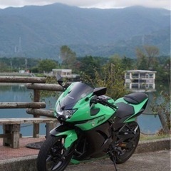 ninja250r