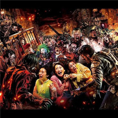 USJ同行者募集