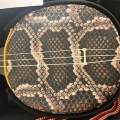 三線（人工）の画像