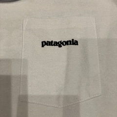 Patagonia　ロゴポケットTの画像