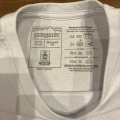 Patagonia　ロゴポケットTの画像