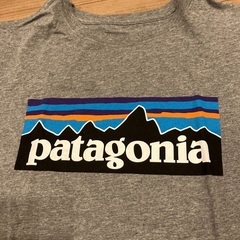 patagoniaBoy's  Organic T-Shirt　XLの画像