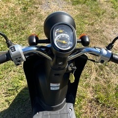 原付バイク　ホンダ　today  さらに値引き【10月26まで限定価格】早いもの勝ち　の画像