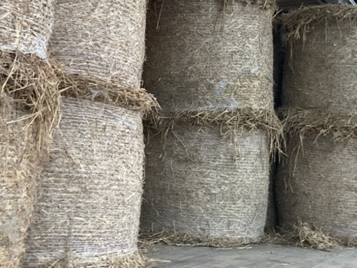 茨城県発‼️ 藁ロール　輸送込みプラン