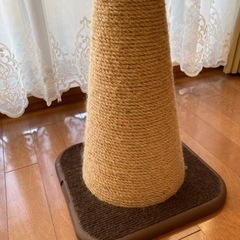 コーン型爪研ぎの画像