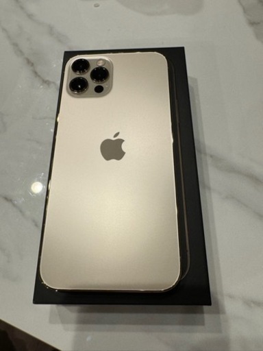 iPhone12.pro 256GB