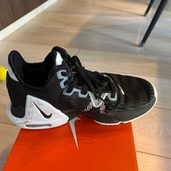 NIKE  レブロン　ウィットネスⅥ バスケットシューズの画像