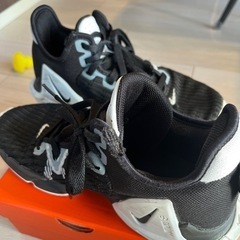 NIKE  レブロン　ウィットネスⅥ バスケットシューズの画像