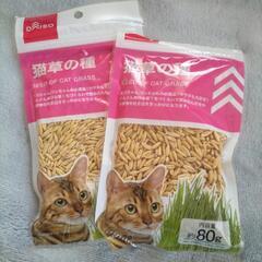 猫草の種