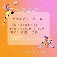 11月19日(日)バレーブランクある方や初心者さん🔰男女共に新メ...