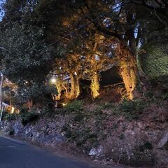（個人売買）建築可！湯河原吉浜海岸・海ちか・駐車場・洞窟あり168.93坪 - 不動産